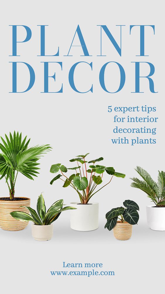 Plant decor Instagram story template, editable text