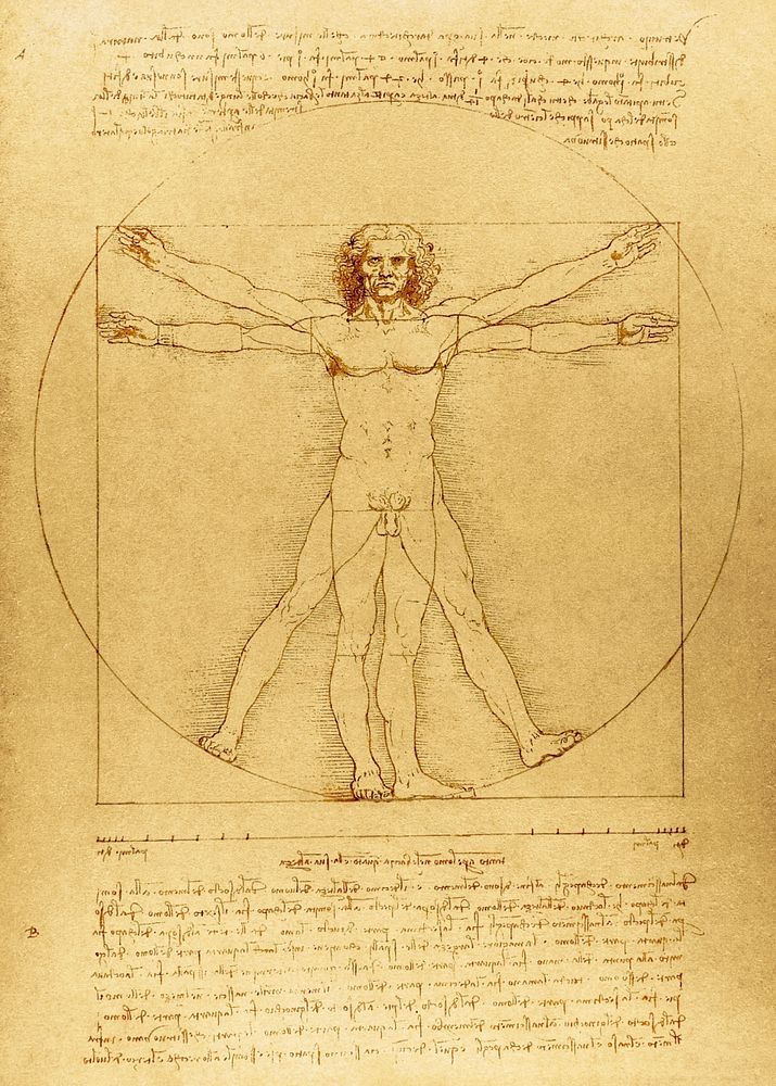 Leonardo da Vinci's Vitruvian Man, editable famous painting. Original from Wikimedia Commons. Remastered by rawpixel.