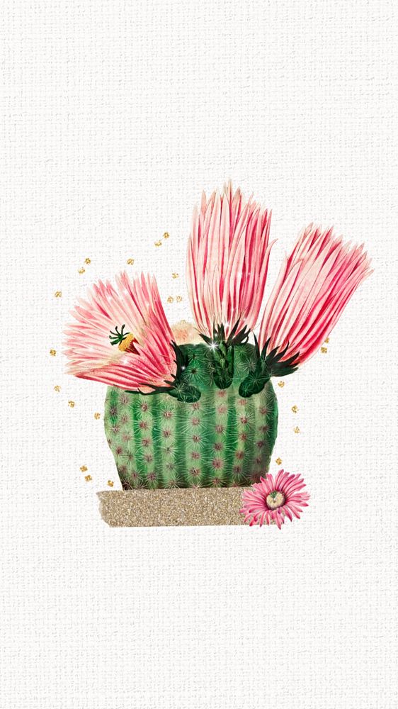 Cute cactus flower iPhone wallpaper, botanical illustration, editable design