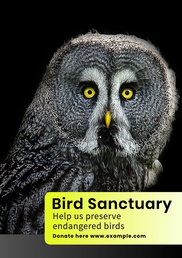 Bird sanctuary poster template, editable text and design