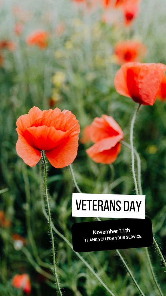 Veterans day, USA Facebook story template, editable design