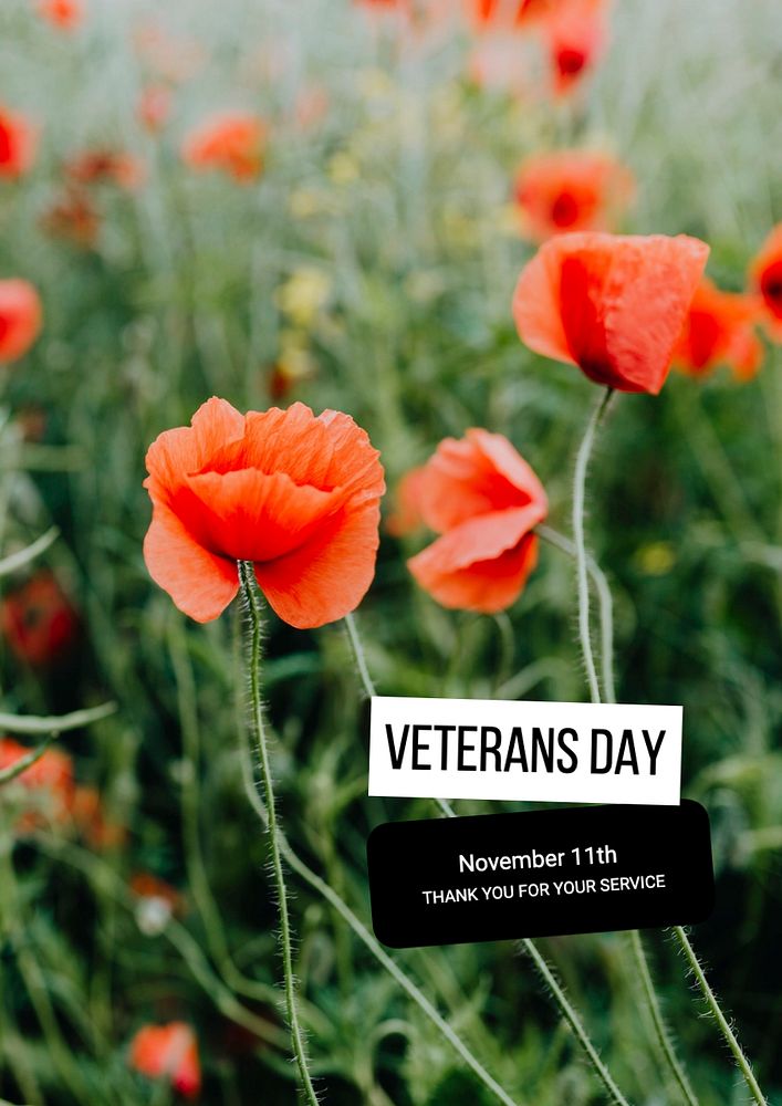 Veterans day, USA poster template, editable text and design