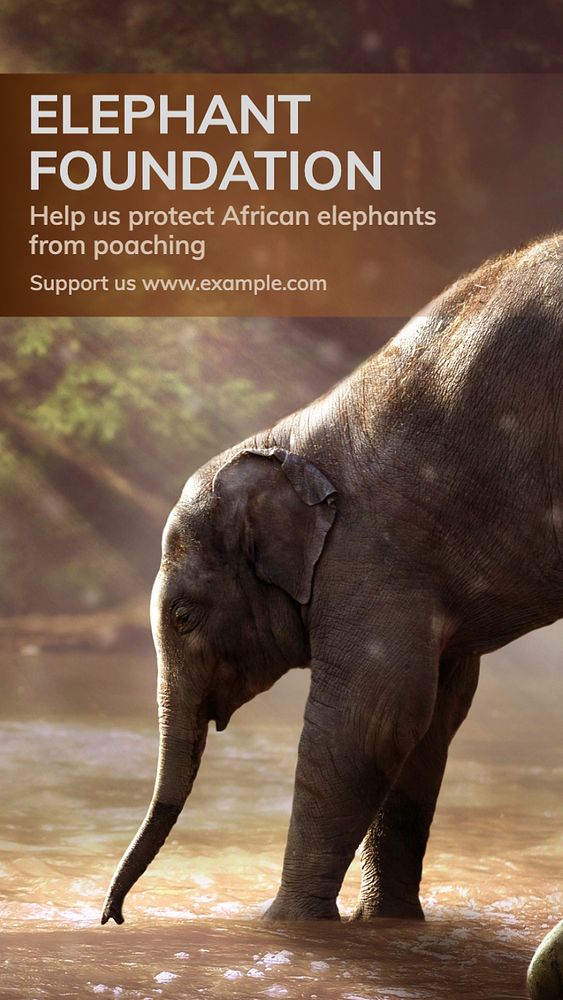 Elephant foundation Instagram post template, editable text