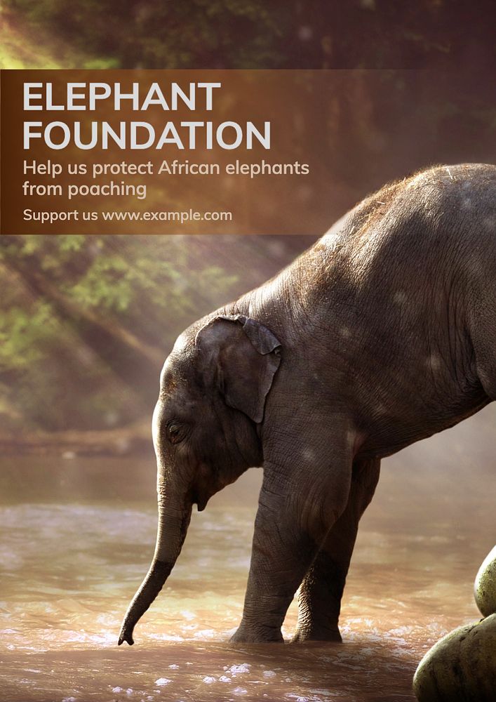 Elephant foundation poster template, editable text and design