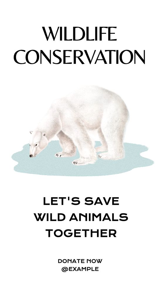 Wildlife conservation Facebook story template