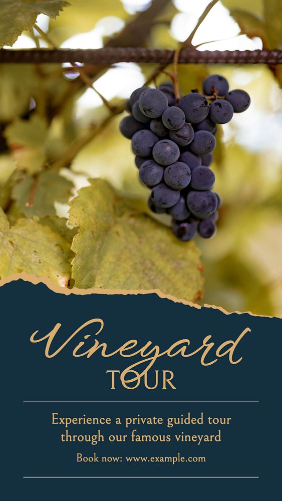 Vineyard tour Instagram story template, editable text