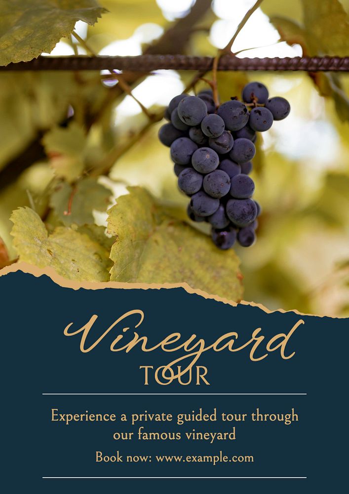 Vineyard tour poster template, editable text and design