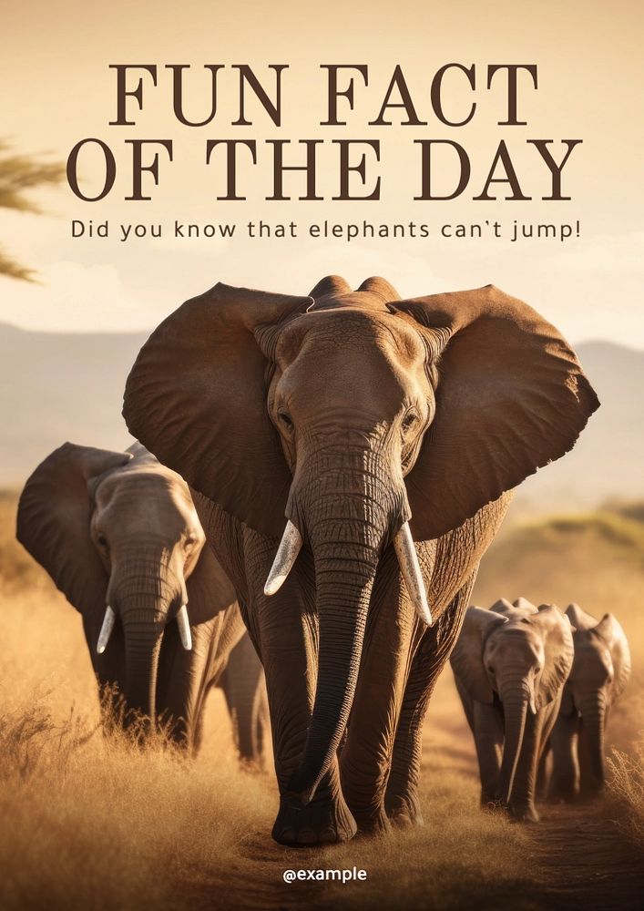 Elephant fun fact poster template, editable text