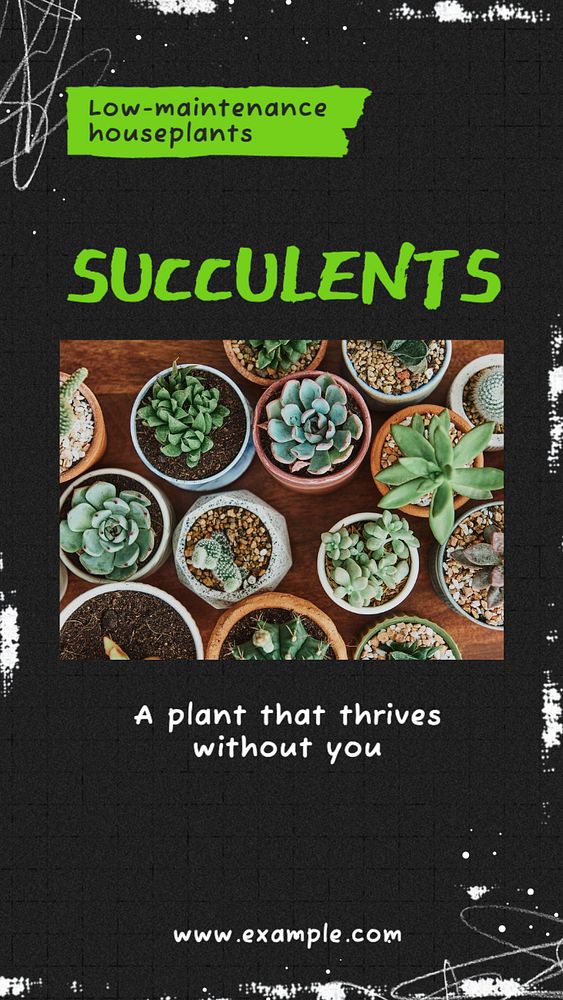 Succulents Instagram story template, editable text