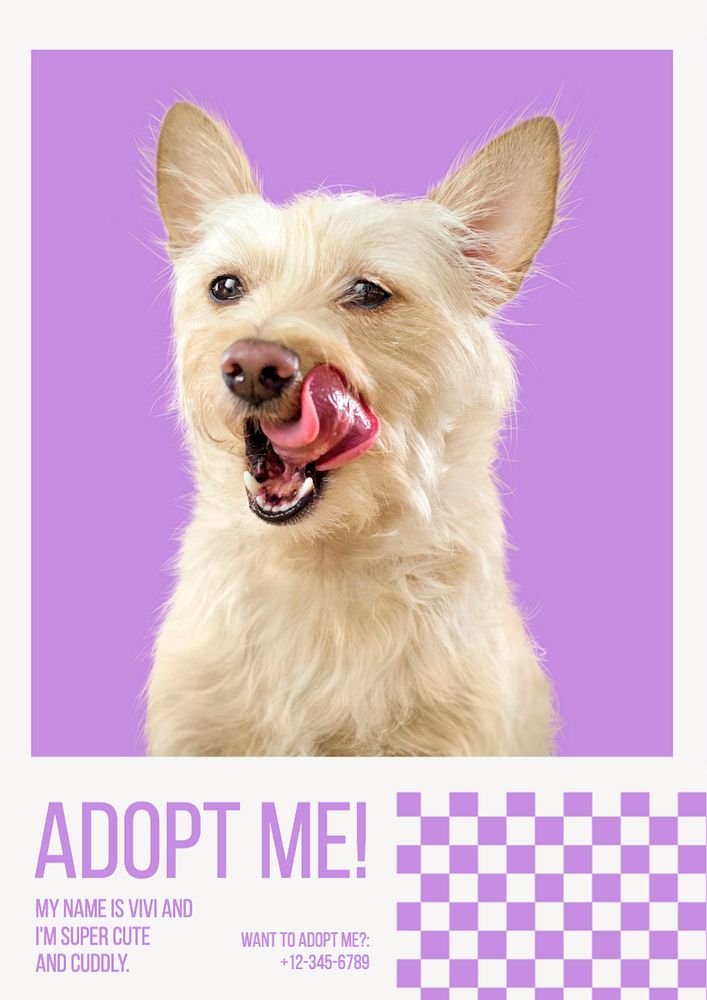 Pet adoption poster template, editable text and design