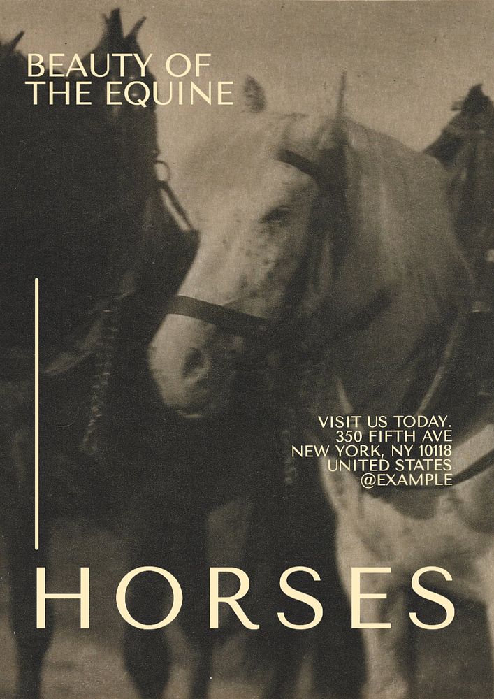 Beauty of horses poster template, editable text and design