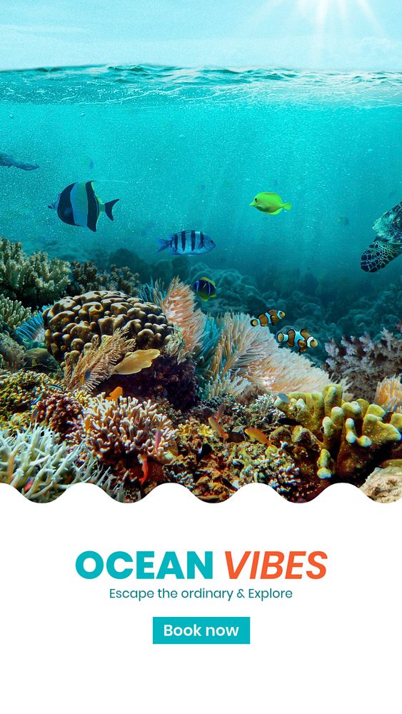 Ocean adventures Instagram story template, summer travel