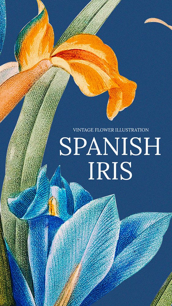 Spanish iris Facebook story template, vintage flower design