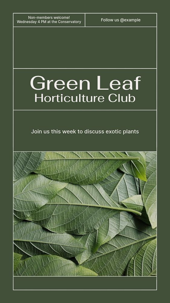 Green leaf club social story template, editable text