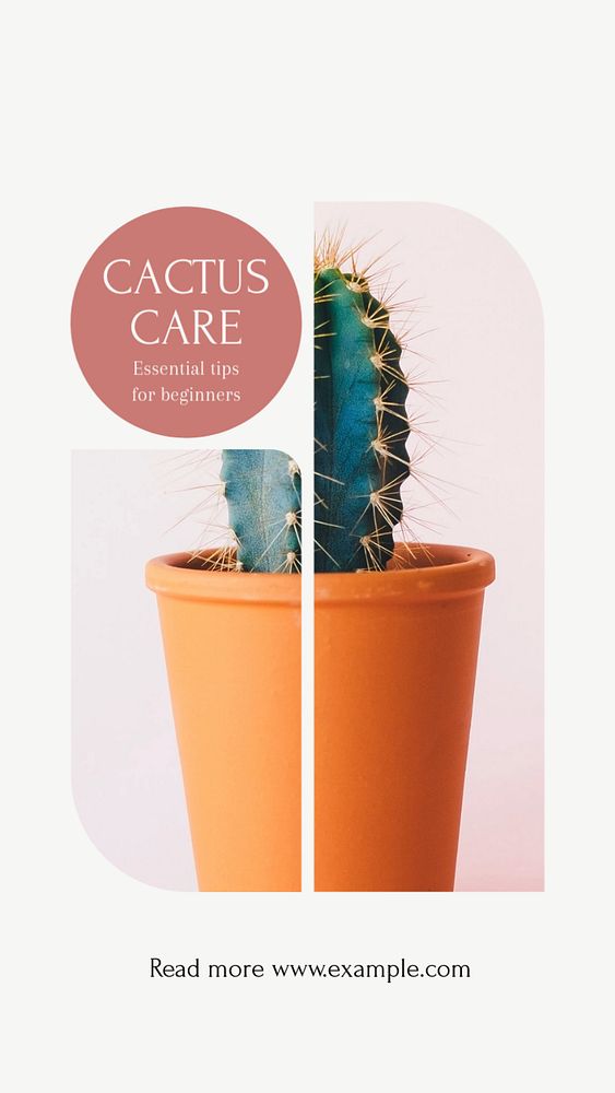 Cactus care social story template, editable text