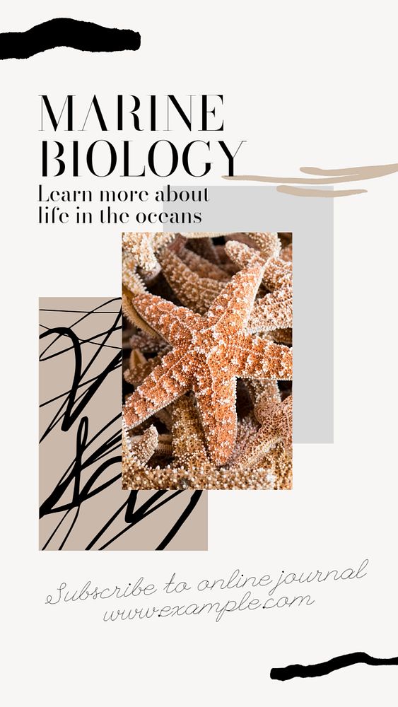 Marine biology social story template, editable text