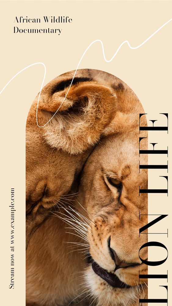 Lion life social story template, editable text