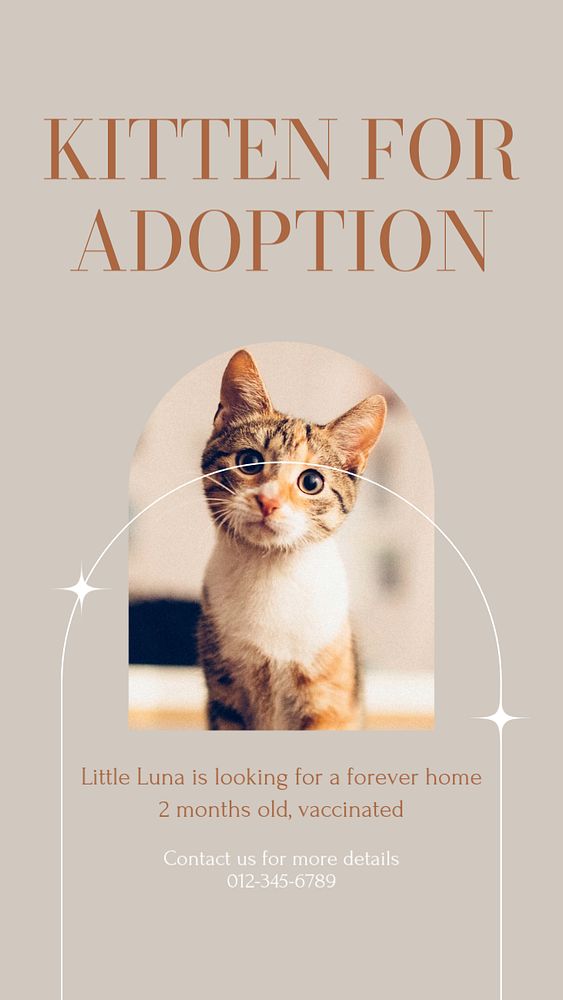 Kitten for adoption social story template, editable text