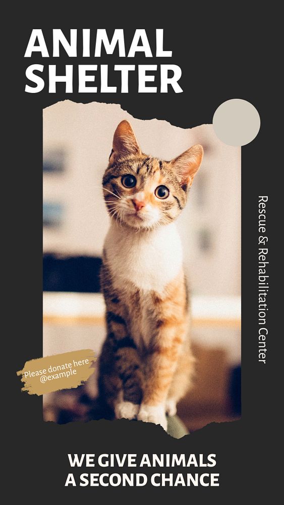 Animal shelter social story template, editable Instagram design