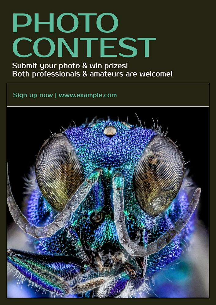 Photo contest poster template, editable text & design