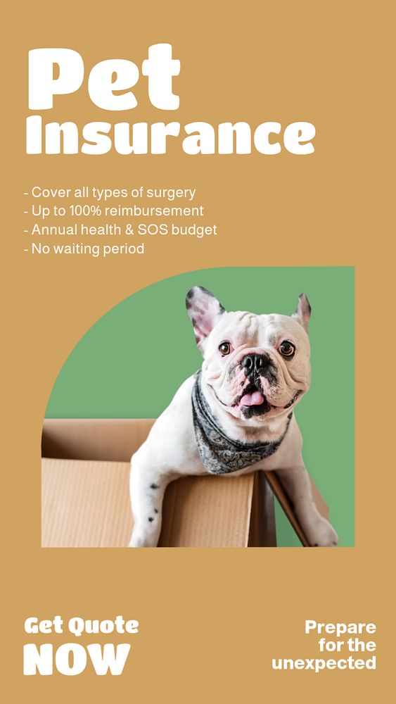 Pet insurance   Instagram story template, editable design for social media