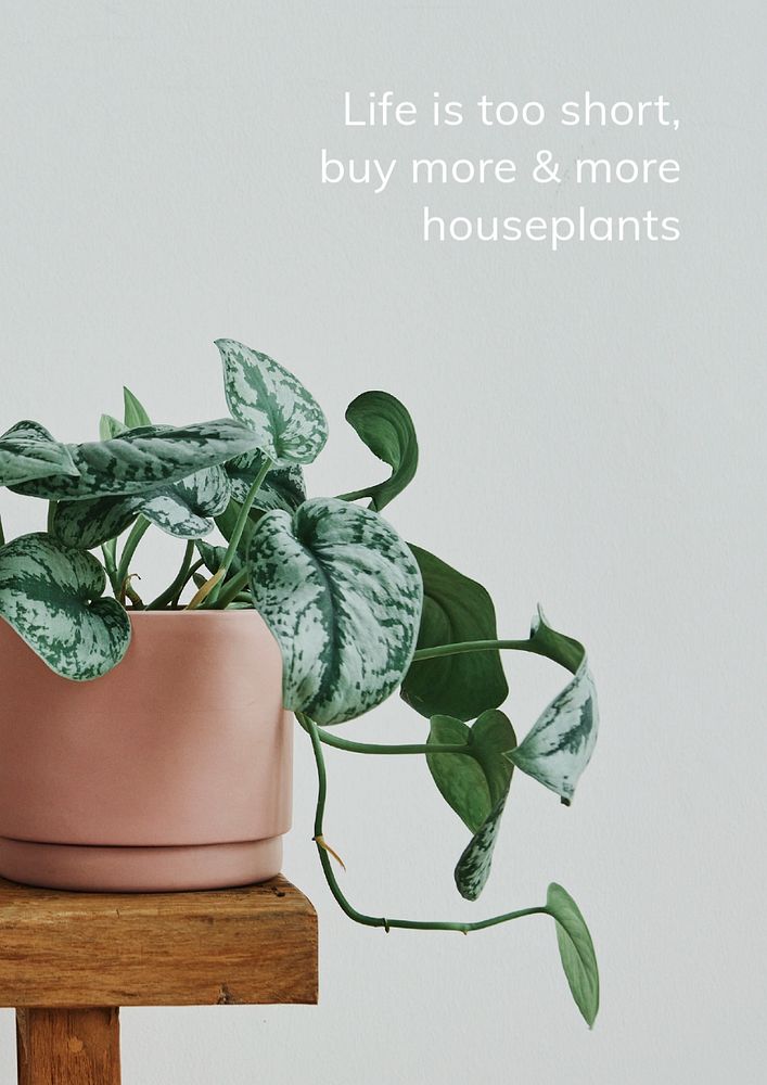 Houseplant quote poster template, editable design