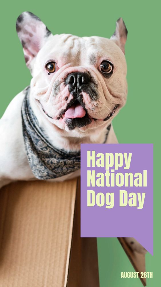 Happy national dog day  Instagram story template, editable design for social media