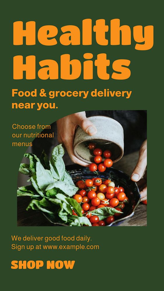 Healthy food for delivery  Instagram story template, editable design for social media