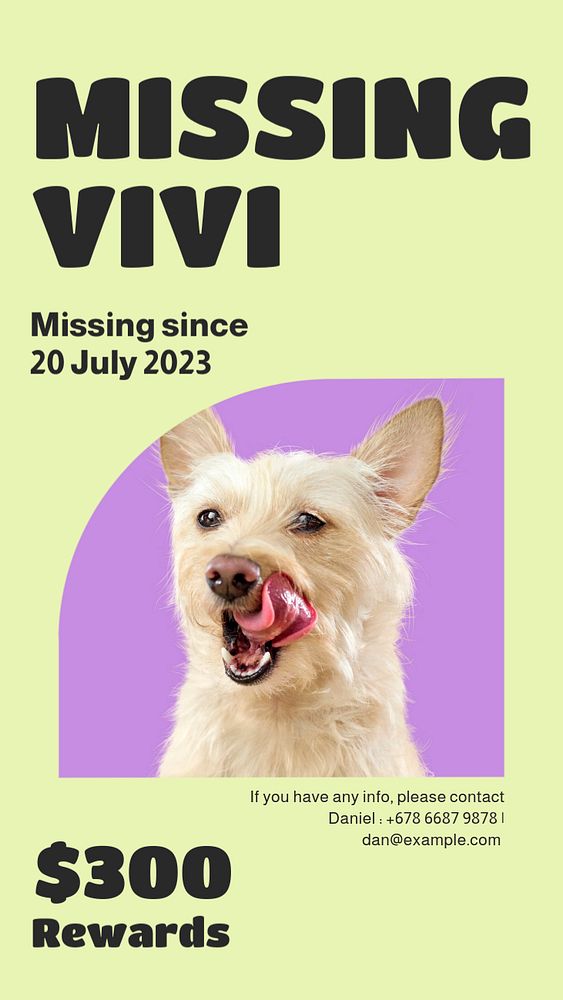 Missing dog  Instagram story template, editable design for social media