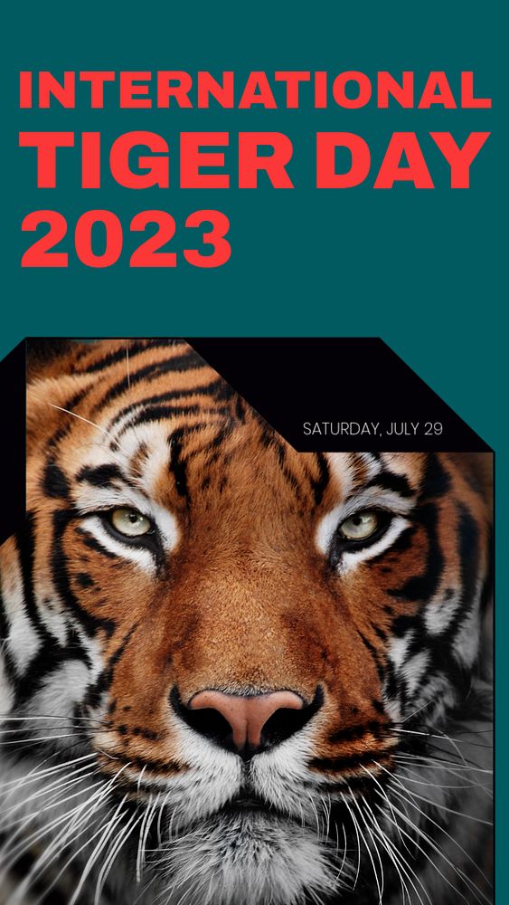 International tiger day 2023  Instagram story template, editable design for social media