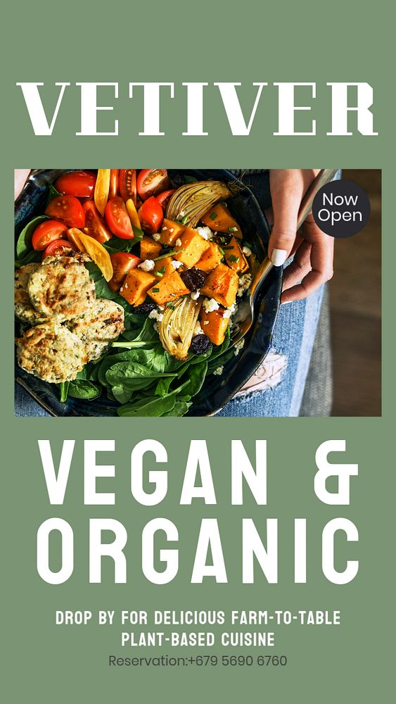 Vegan & organic food  Instagram story template, editable design for social media