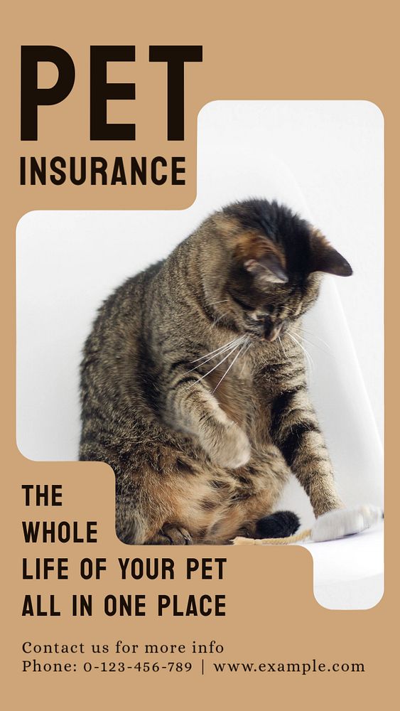 Pet insurance  Instagram story template, editable design for social media