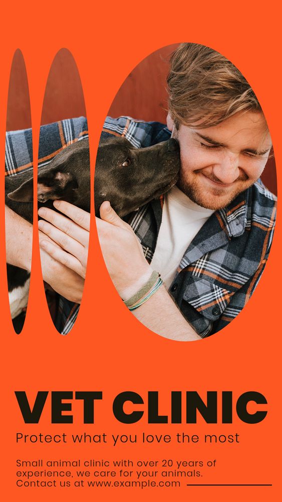 Vet clinic  Instagram story template, editable design for social media