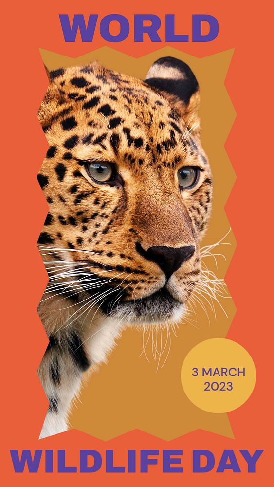 World wildlife day  Instagram story template, editable design for social media