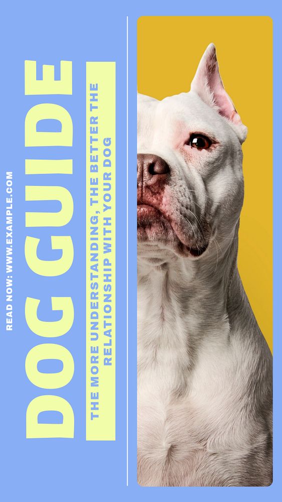 Dog guide  Instagram story template, editable design for social media