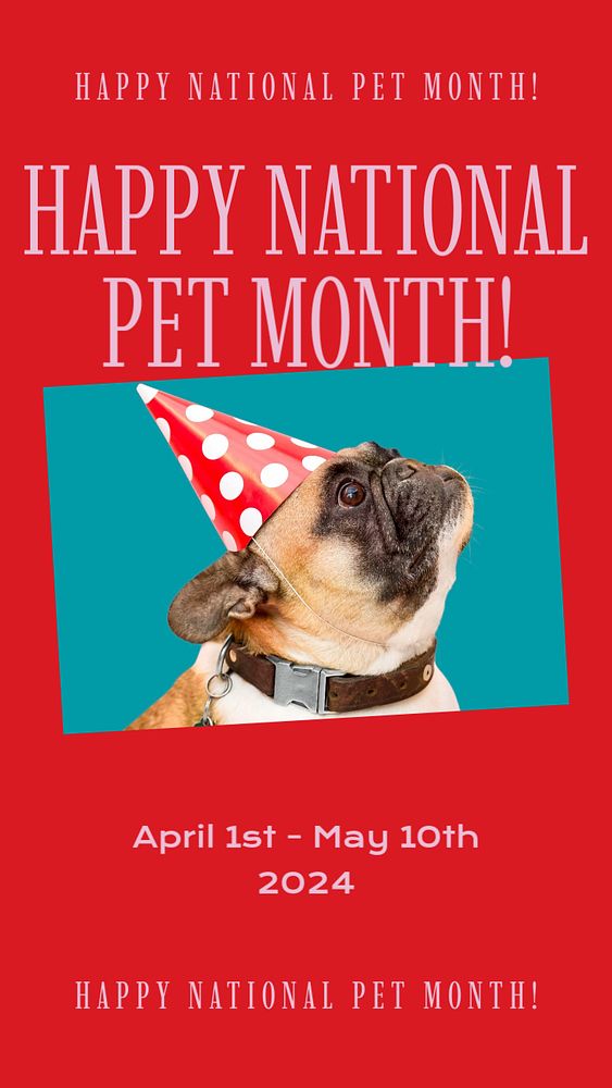 Happy national pet month  Instagram story template, editable design for social media