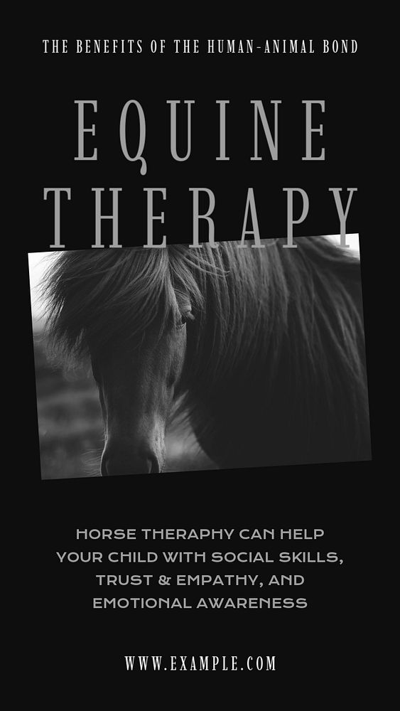 Equine therapy  Instagram story template, editable design for social media