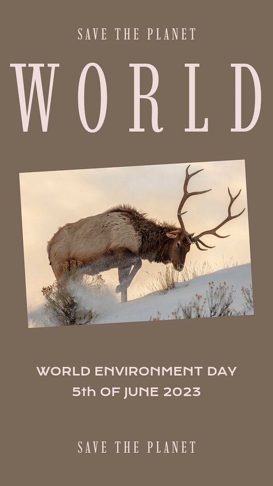 World environment day  Instagram story template, editable design for social media