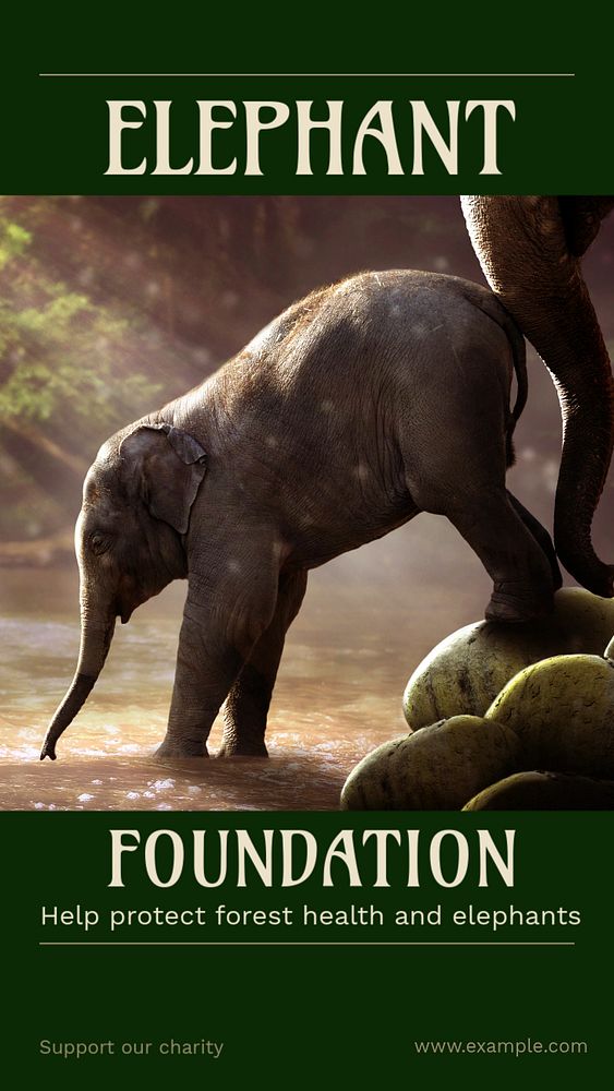 Elephant foundation Instagram story, editable social media design