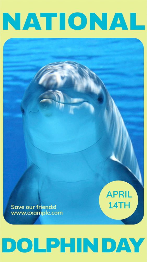 National dolphin day Instagram story, editable social media design