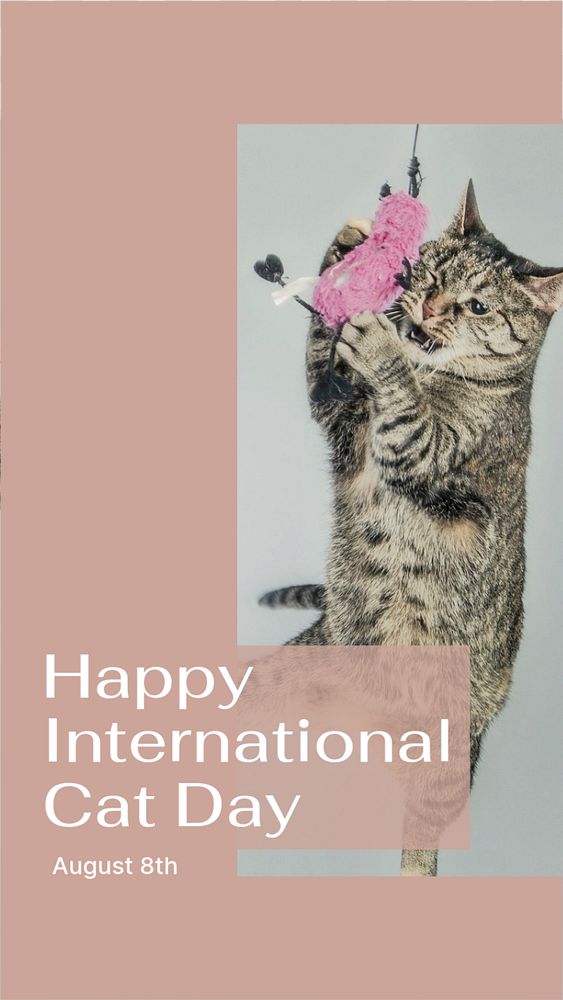 International cat day Instagram story template, editable social media design