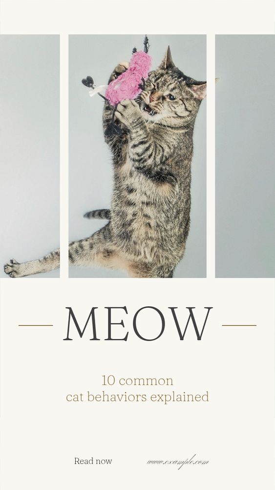 Cat & kitten Instagram story template, editable social media design