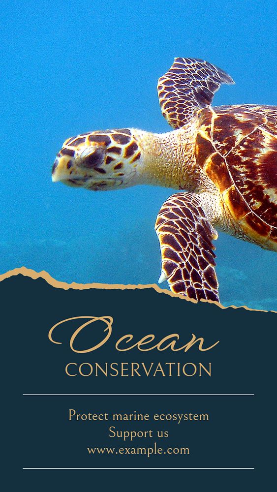 Ocean conservation Instagram story template, editable social media design