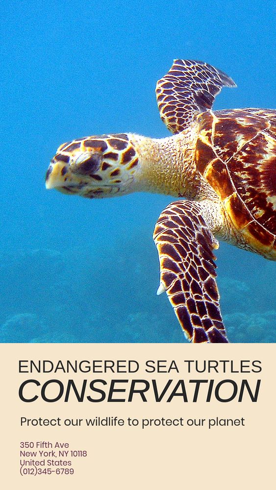 Endangered sea turtles Instagram story template, editable social media design