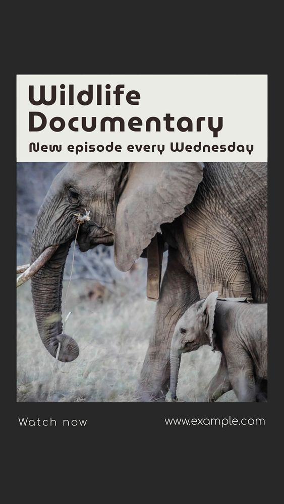 Wildlife documentary Instagram story template, editable social media design