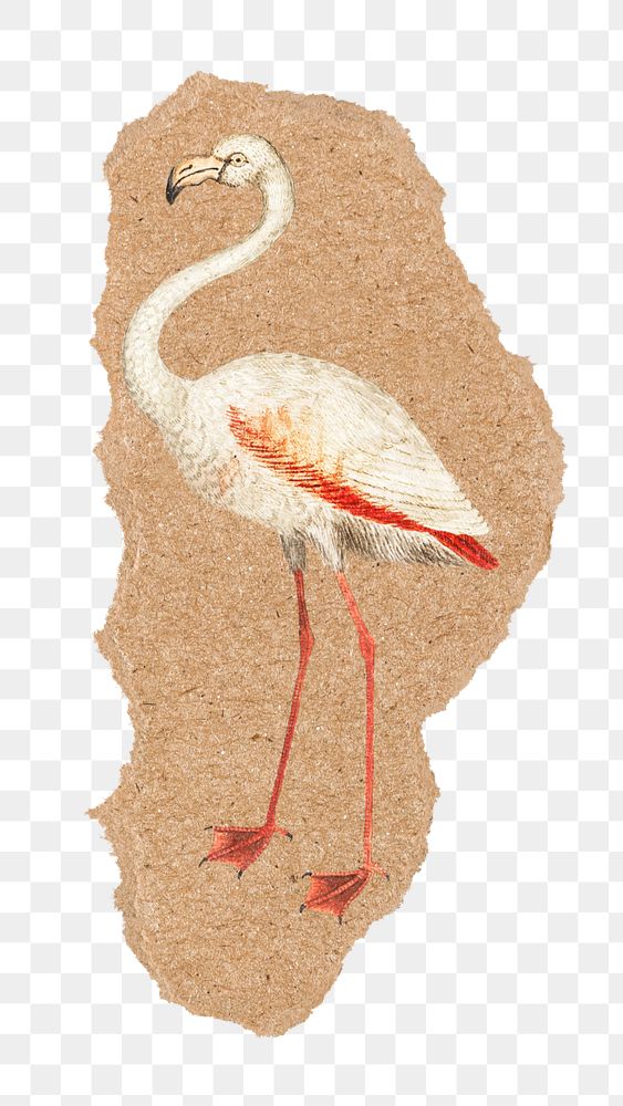 PNG ripped paper mockup element, vintage flamingo illustration,  transparent background. Remixed by rawpixel.