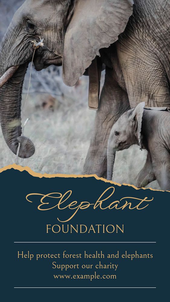 Elephant foundation Instagram story template, editable social media design