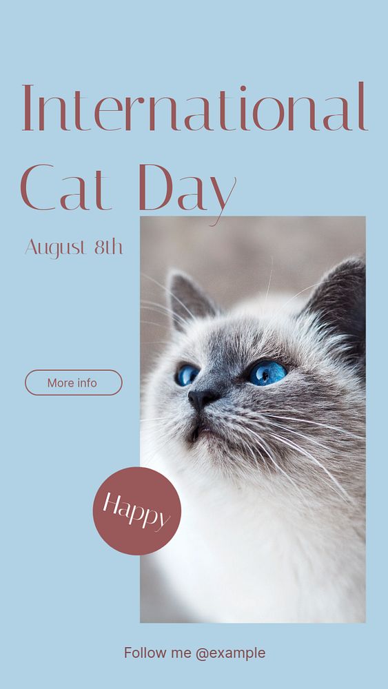 International cat day Instagram story template, editable social media design