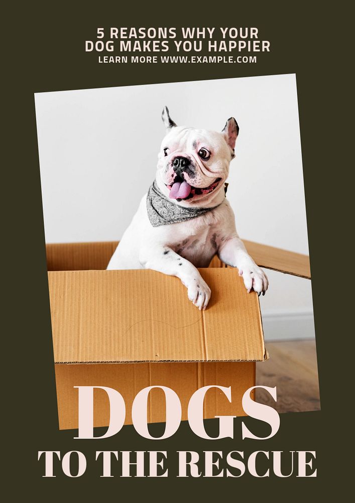 Dog editable poster template