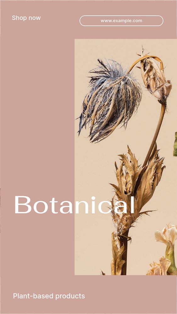 Botanical products Instagram story template, editable social media design